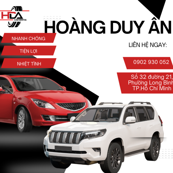 Tại Sao Nên Thuê Xe Du Lịch Có Tài Xế Thay Vì Tự Lái?