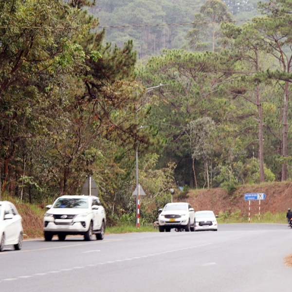  Kinh Nghiệm Đi Du Lịch Đà Lạt Bằng Ô Tô – Hành Trình Thoải Mái &amp; Đáng Nhớ